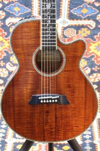 Takamine、コアのアコースティックギター検索結果一覧