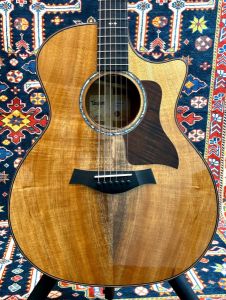 アコースティックギター　taylor Taylor Guitars