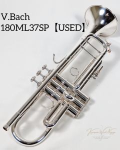 トランペット、シルバー 系の管楽器検索結果一覧 | 【クロサワ楽器店