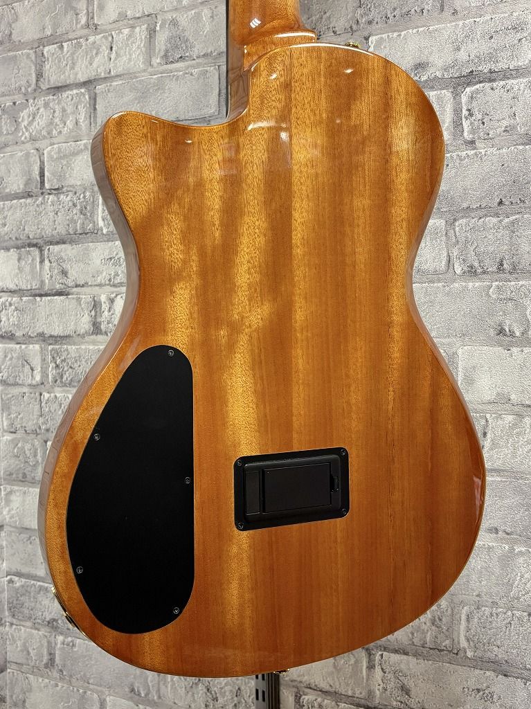 Stage Ziricote #92412503 | 【クロサワ楽器店オンラインショップ