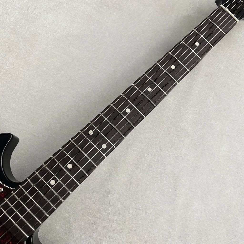 Bronson V ~Black~ | 【クロサワ楽器店オンラインショップ】いい楽器と