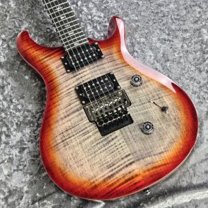 Paul Reed Smith(PRS) SE Custom 24 " Floyd" 【4Fメタルギターフロア取り扱い商品】【ポイント付与対象外商品】