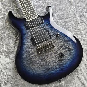Paul Reed Smith(PRS) SE MARK HOLCOMB SVN 【4Fメタルギターフロア取り扱い商品】【ポイント付与対象外商品】