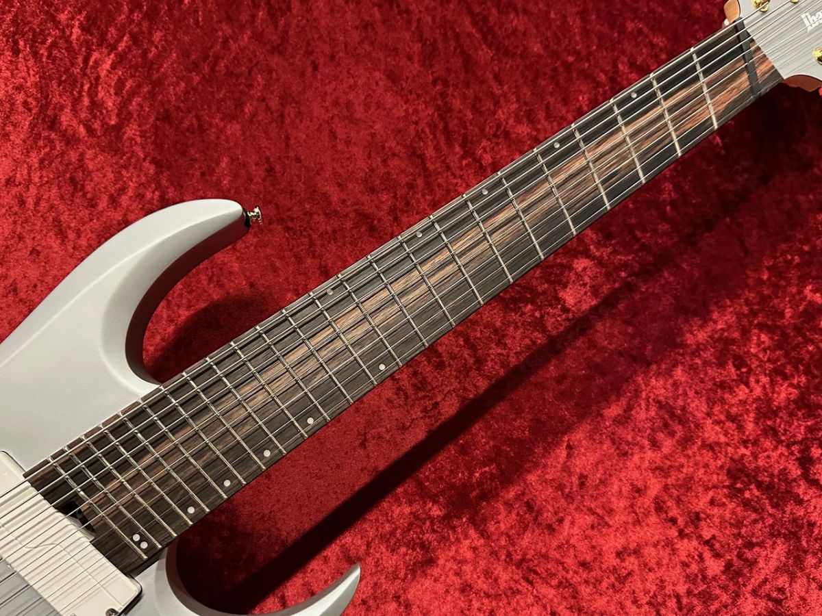 RGDMS8 -CSM (Classic Silver Matte)- | 【クロサワ楽器店オンライン