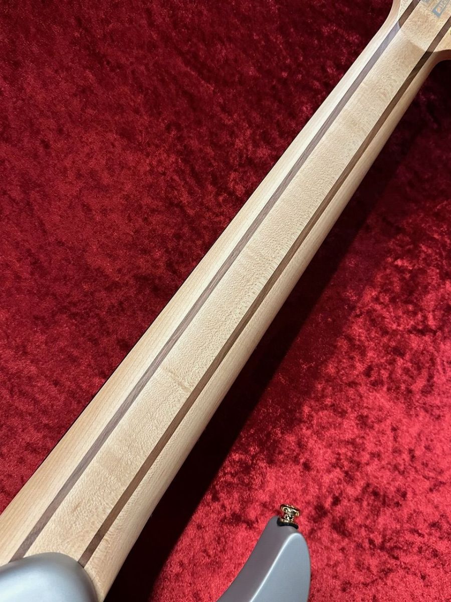 RGDMS8 -CSM (Classic Silver Matte)- | 【クロサワ楽器店オンライン