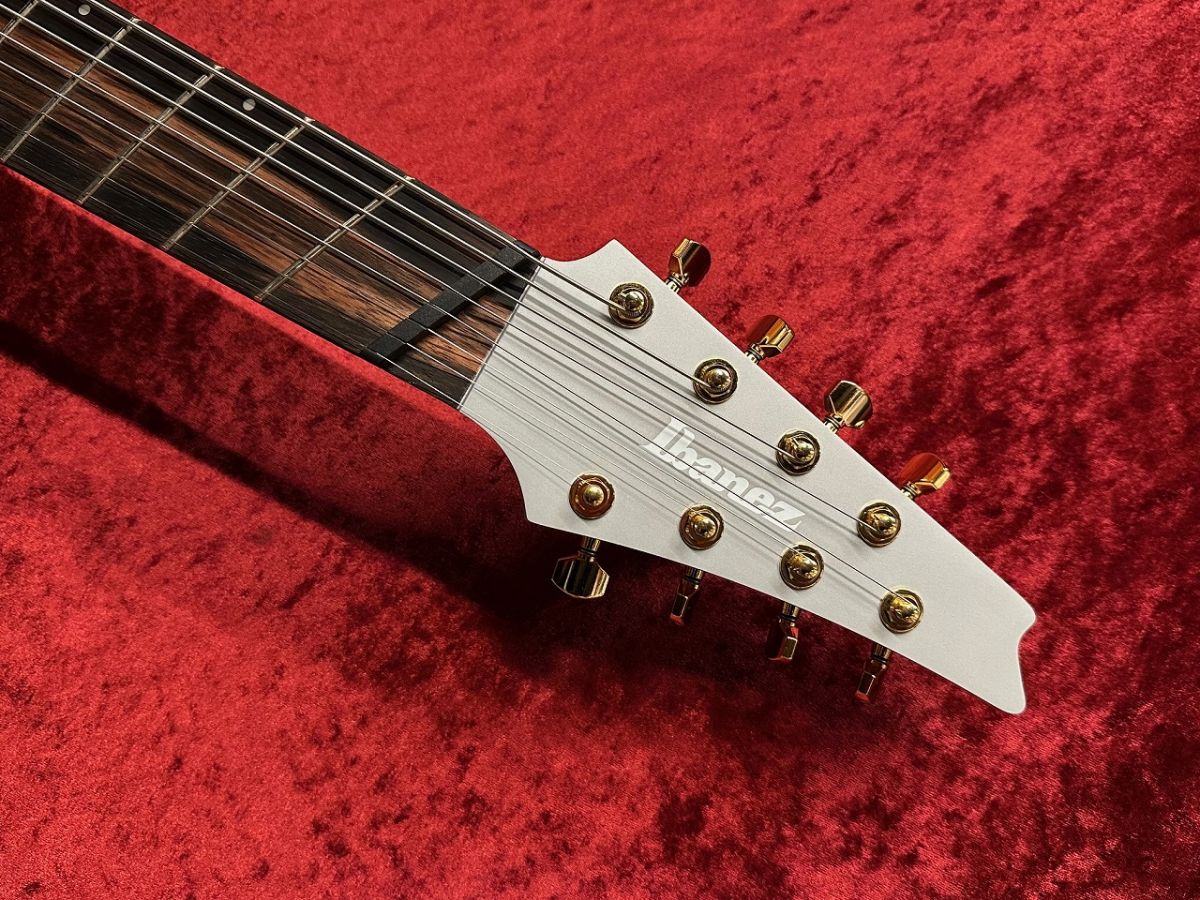 RGDMS8 -CSM (Classic Silver Matte)- | 【クロサワ楽器店オンライン