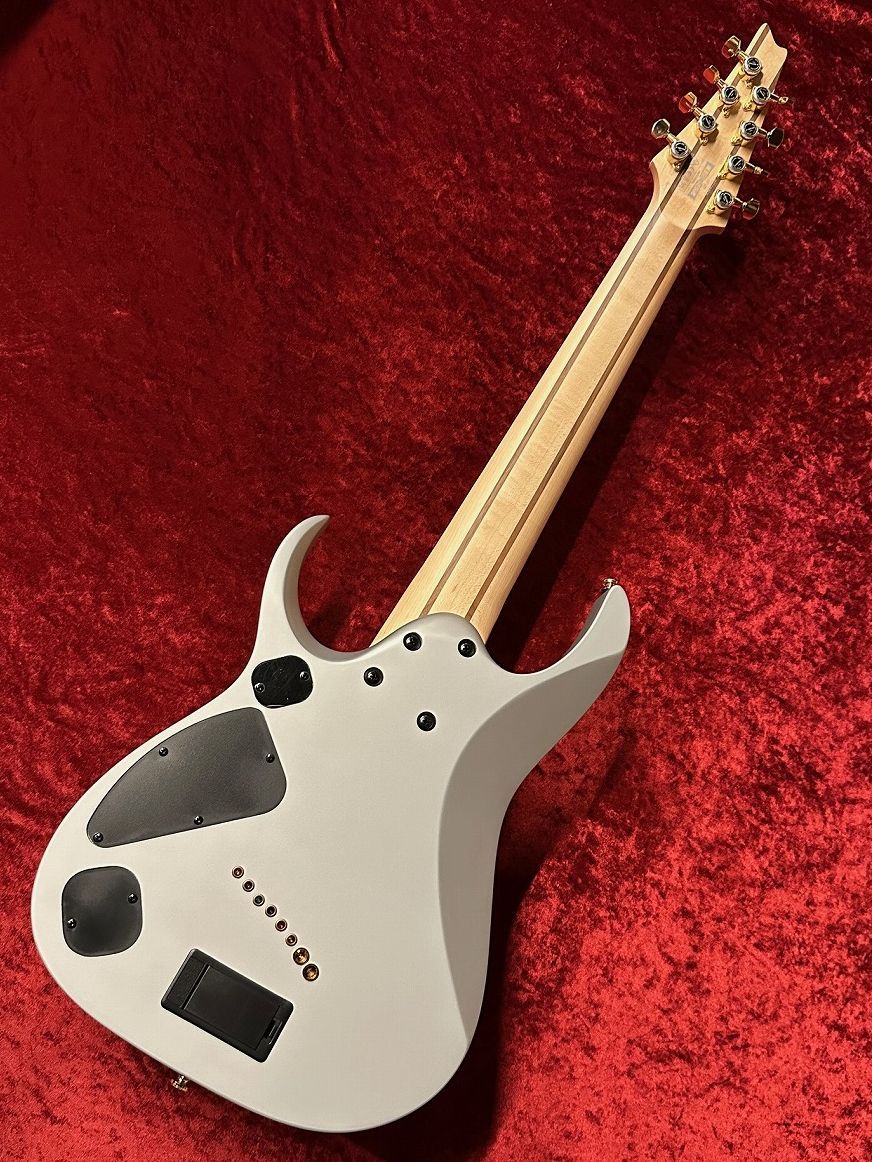 RGDMS8 -CSM (Classic Silver Matte)- | 【クロサワ楽器店オンライン