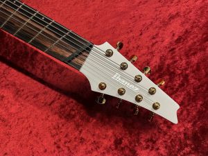 RGDMS8 -CSM (Classic Silver Matte)- | 【クロサワ楽器店オンライン