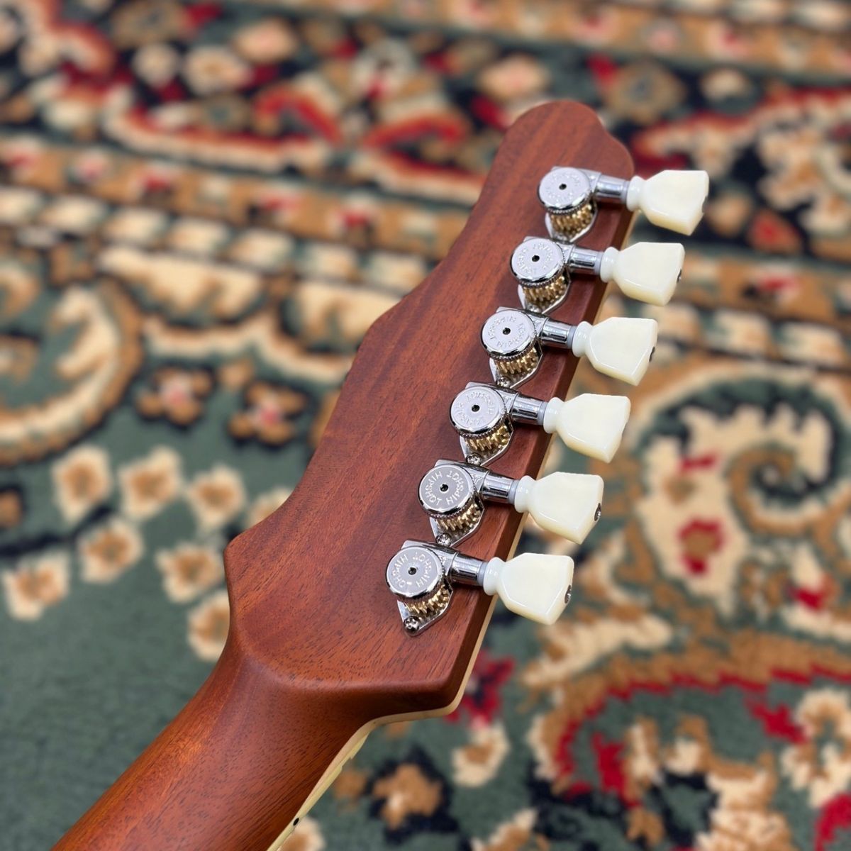 JSHG / James' Semi-Hollow Grail - Vintage Natural | 【クロサワ楽器