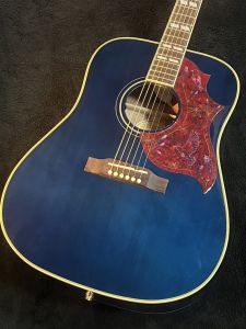 Epiphone、ドレッドノート タイプのアコースティックギター検索結果
