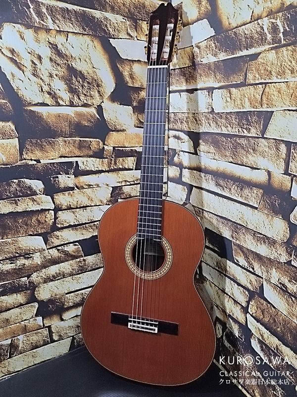 ホアン・エルナンデス 2025年製 Profesor 640 C 杉・ローズ