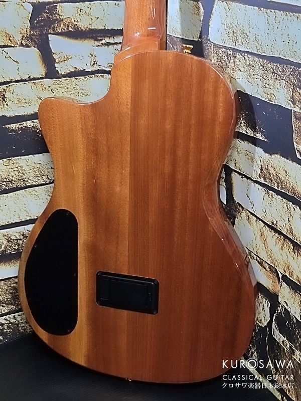 コルドバ STAGE ステージ NATURAL AMBER ナチュラルアンバー