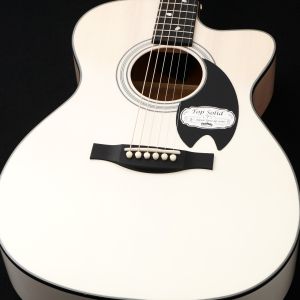 Headway、新品のアコースティックギター検索結果一覧 | 【クロサワ楽器