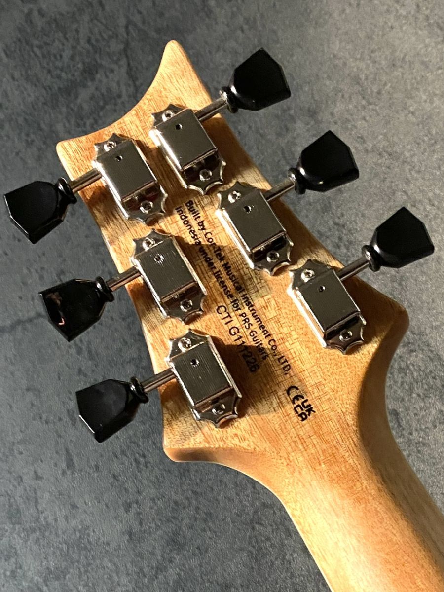 SE Zach Myers Semi-Hollow Body Myers Blue #G111226 | 【クロサワ