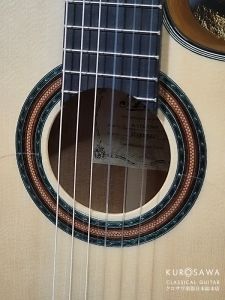 アリア A-175F CWE フラメンコ カッタウェイ エレガット 松・シー