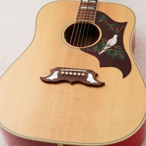 黒沢楽器&長野楽器 DOVEモデル(送料込) Dove Original #20744084 | 【クロサワ楽器店オンラインショップ】いい