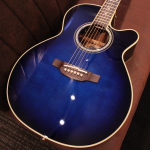 Takamine、スプルースのアコースティックギター検索結果一覧