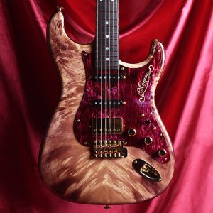 その他ボディ材、エボニー指板のエレキギター検索結果一覧