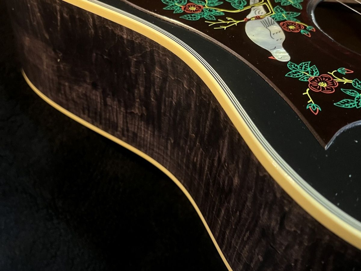 Dove Double Guard Trans Ebony Light Aged | 【クロサワ楽器店