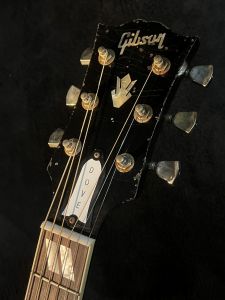 Dove Double Guard Trans Ebony Light Aged | 【クロサワ楽器店