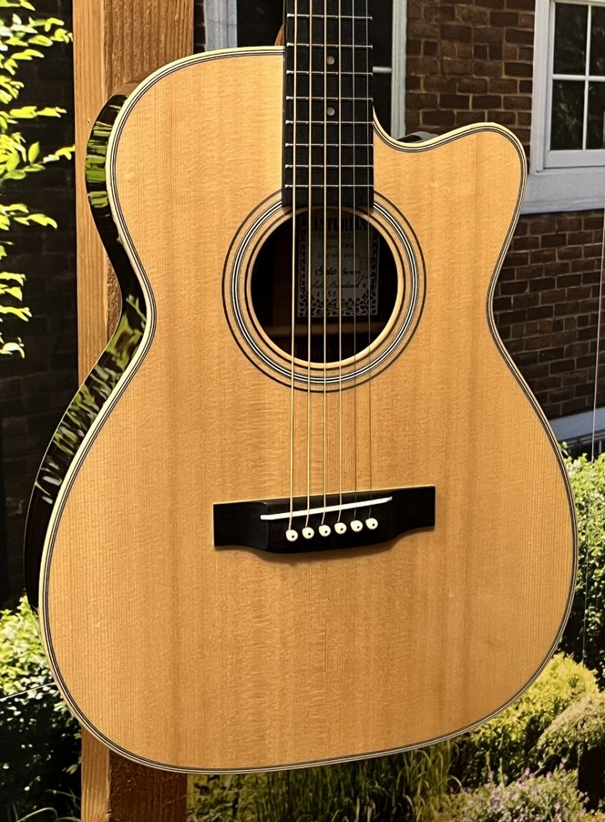 Solo Standard PU | 【クロサワ楽器店オンラインショップ】いい楽器と