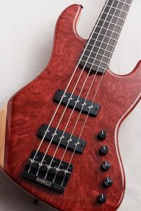 Provision 【48回無金利】 TTOB5 35Anniversary Custom 【NEW】【Jacaranda指板】