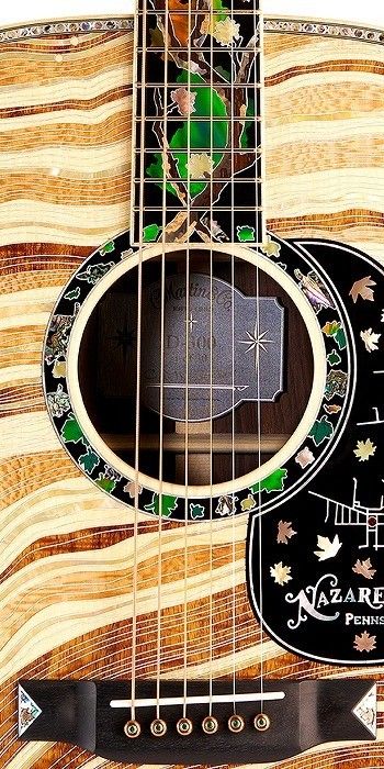 D-300 | 【クロサワ楽器店オンラインショップ】いい楽器とのいい出会い