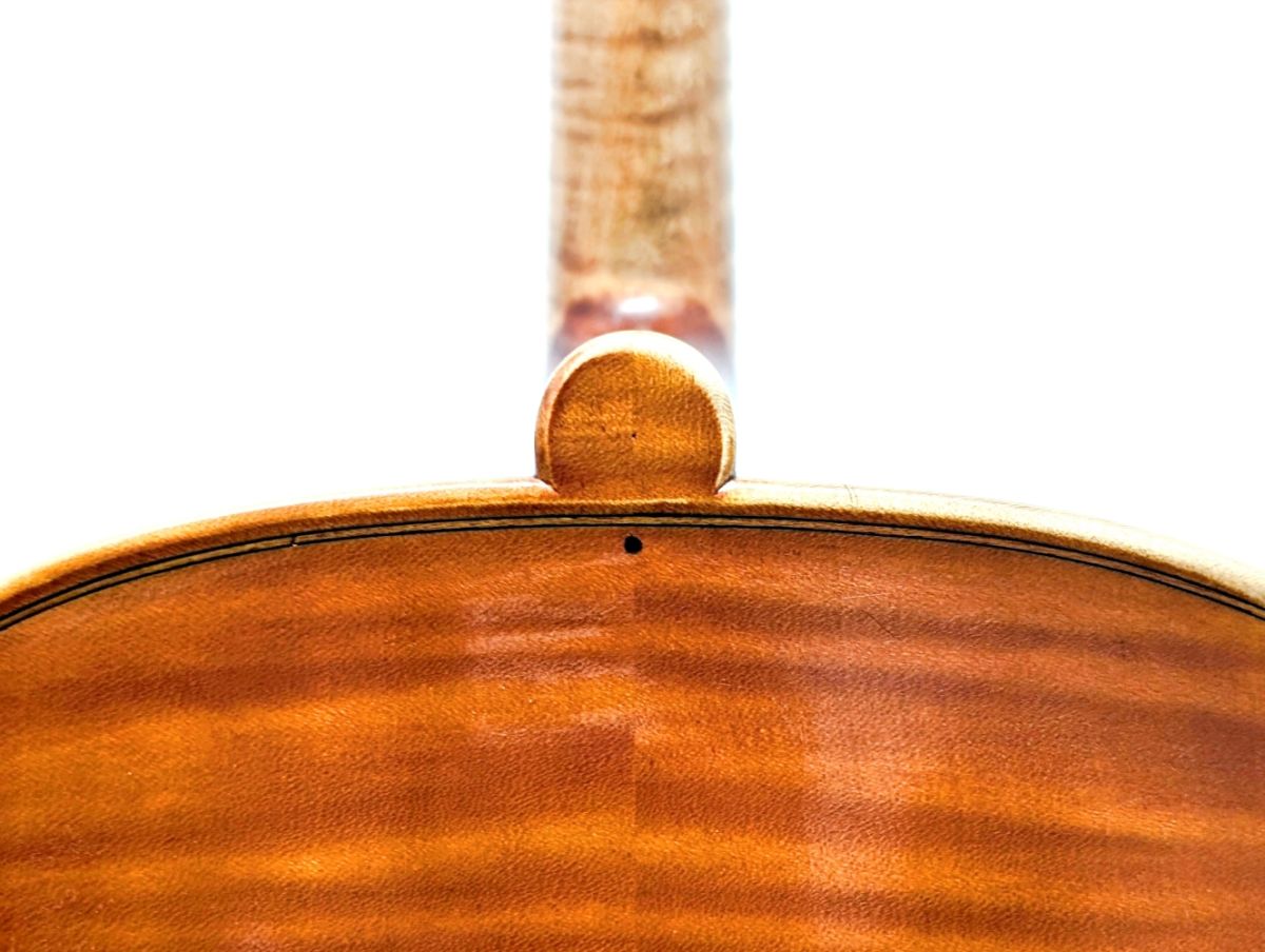 Francesco Bissolotti 1984年(フランチェスコ・ビソロッティ