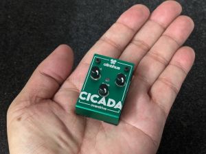 Olinthus CICADA 極小サイズのTS系オーバードライブ!