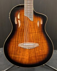 エレガットのクラシックギター検索結果一覧 | 【クロサワ楽器店