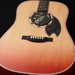 Headway、20万円～30万円未満のアコースティックギター検索結果一覧