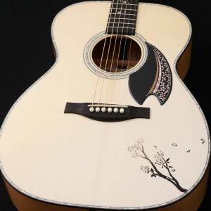 Headwayのアコースティックギター検索結果一覧 | 【クロサワ楽器店