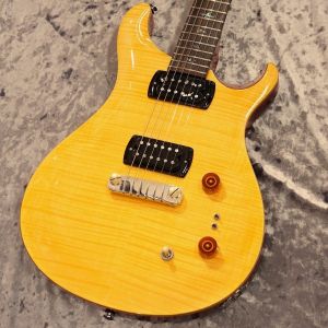 Paul Reed Smith(PRS)、ローズウッド指板のエレキギター検索結果一覧