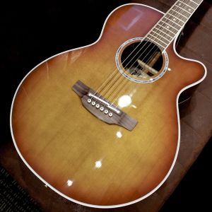 Takamine、スプルースのアコースティックギター検索結果一覧