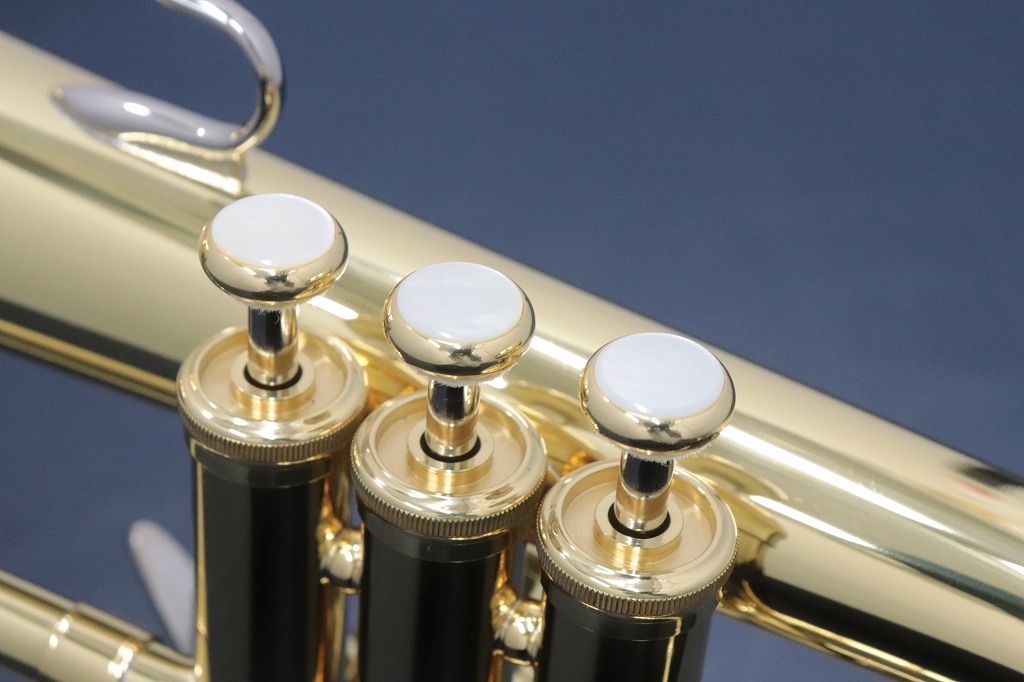 YFH-8310Z【s/n:458***】 | 【クロサワ楽器店オンラインショップ】いい