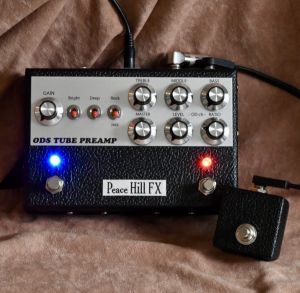 ギター peace hill fx その他 実演販売会 | 【クロサワ楽器店オンラインショップ】いい楽器と