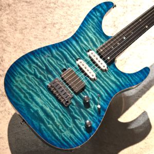 24フレット、シンクロタイプのエレキギター検索結果一覧 | 【クロサワ