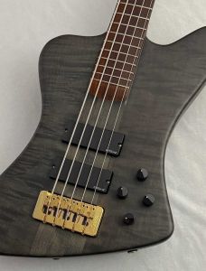 Spector FORTE5X 【USED】
