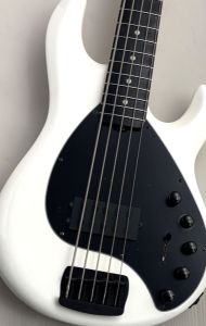 MUSIC MAN 【48回無金利】 DarkRay 5 Limited Color  -White- 【NEW】