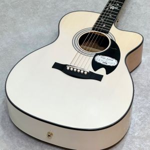 Headway エレアコ　レアカラー　オールホワイト　美品　純正ソフトケース Headway エレアコ レアカラー オールホワイト 美品 純正ソフトケース