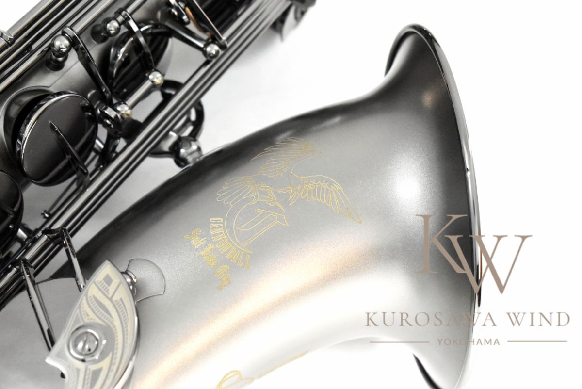 T5-BiceB “The Raven” 【中古(委託品)】【s/n 190***】 | 【クロサワ