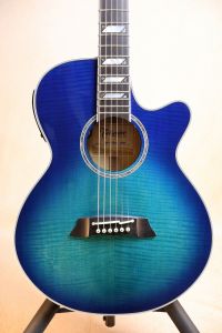 Takamine、20万円～30万円未満のアコースティックギター検索結果一覧