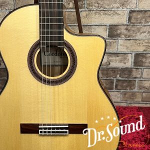 エレガット、Cordobaのクラシックギター検索結果一覧 | 【クロサワ楽器