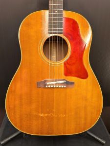 ナチュラル / 木目 系、スプルースのアコースティックギター検索結果