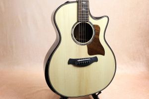 Taylor、50万円～100万円未満のアコースティックギター検索結果一覧