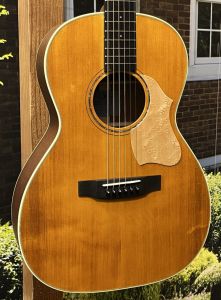 VINCENTのアコースティックギター検索結果一覧 | 【クロサワ楽器店