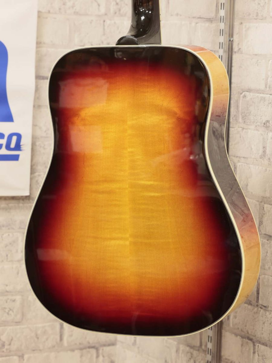 Hummingbird Maple Long Scale | 【クロサワ楽器店オンラインショップ