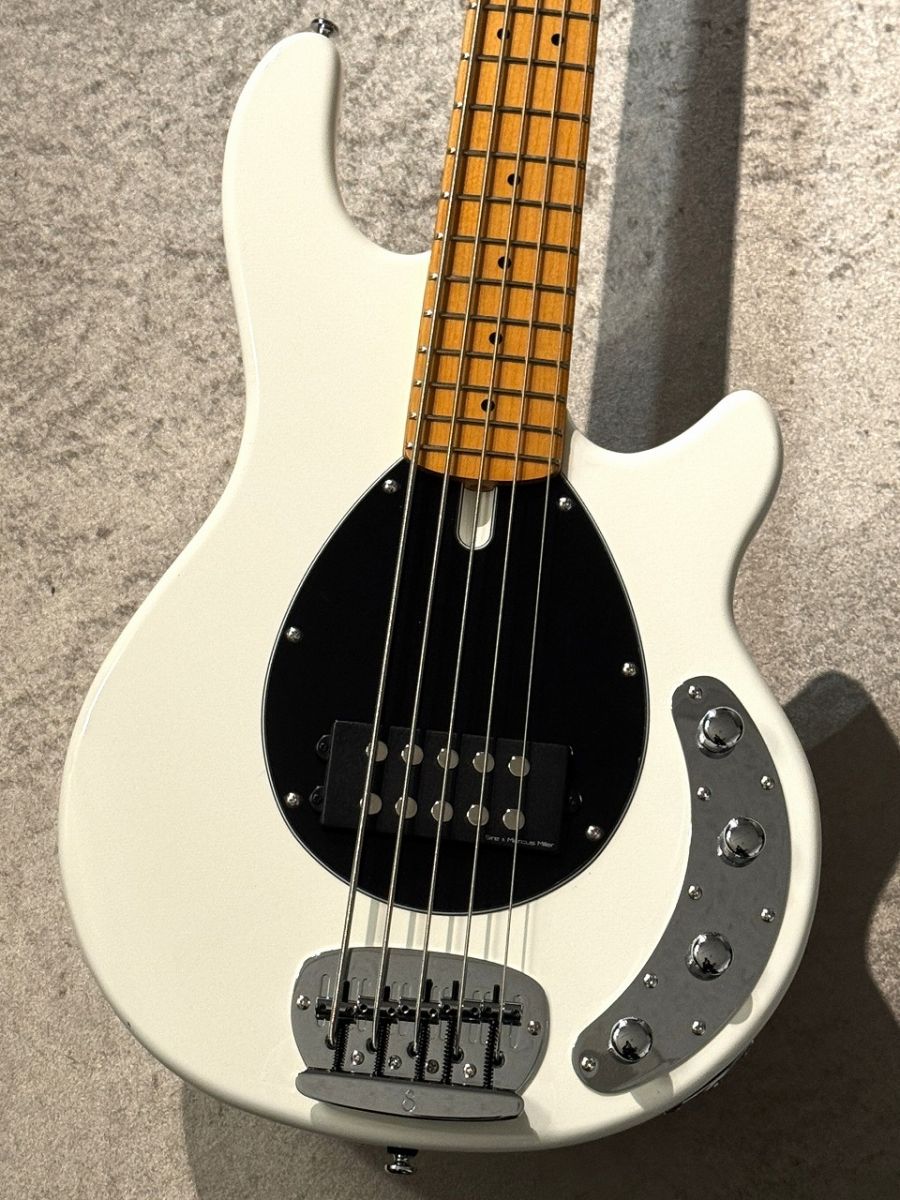 Z3 5-String -Antique White- | 【クロサワ楽器店オンラインショップ