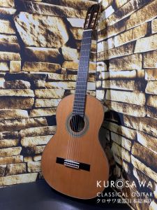 ARIA アリア A-140C-63 【日本総本店2F 在庫品】