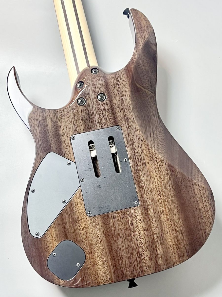RG8620AH BQZ ≒3.78kg | 【クロサワ楽器店オンラインショップ】いい